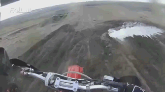 -потрачено-поросенок-пётр-728511