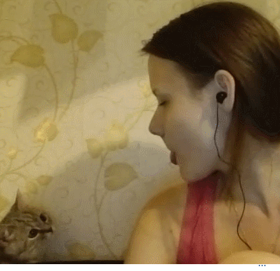 Покажи коту язык