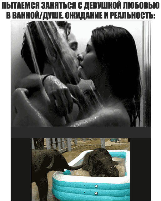 gif_358d7d372937321f5769d6c542ee6f3d