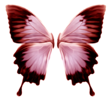 textura_de_mariposa_png_by_maslowver-d5nm8be