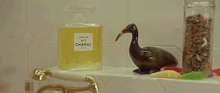 1409085528_484993584