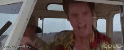 Эйс Вентура едет по дороге))