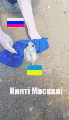 1409305119_902052451