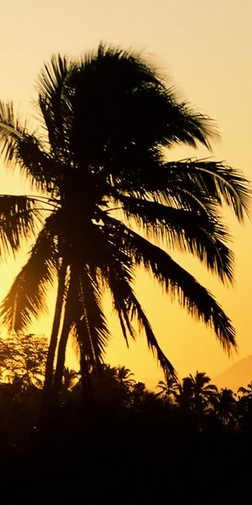 2014-08-23 23-15-50 Скриншот экрана