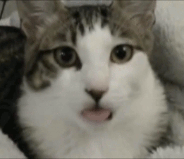 tumblr_inline_n8h917cNj01rhid14