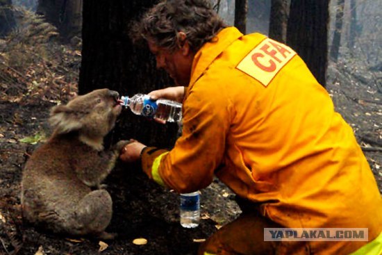 post-3-12344278366285