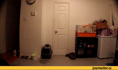 D0B3D0B8D184D0BAD0B8D0A1D0B2D0BED18FD0B0D182D0BCD0BED181D184D0B5D180D0B01495639