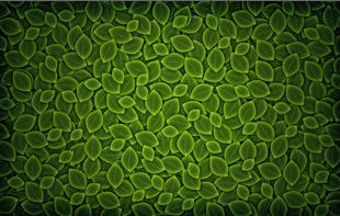 2014-09-09 00-27-05 Скриншот экрана