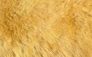 2014-09-09 20-53-13 Скриншот экрана