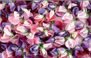 2014-09-09 21-00-05 Скриншот экрана