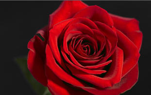 2014-09-10 12-45-12 Скриншот экрана