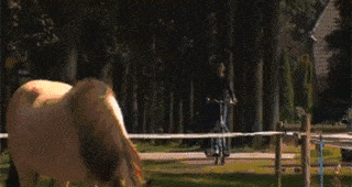 1410448596_1290695746