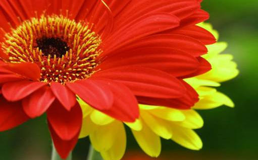 2014-09-13 12-43-02 Скриншот экрана