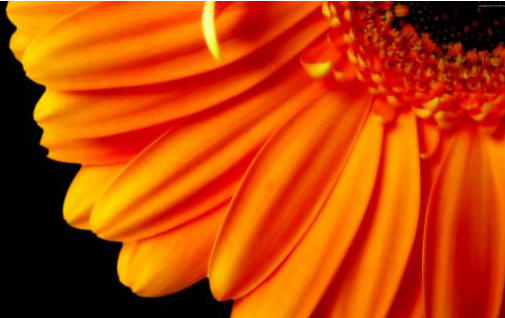 2014-09-13 12-45-24 Скриншот экрана