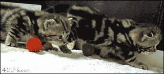 tumblr_mhfhnqji5l1qdlh1io1_400