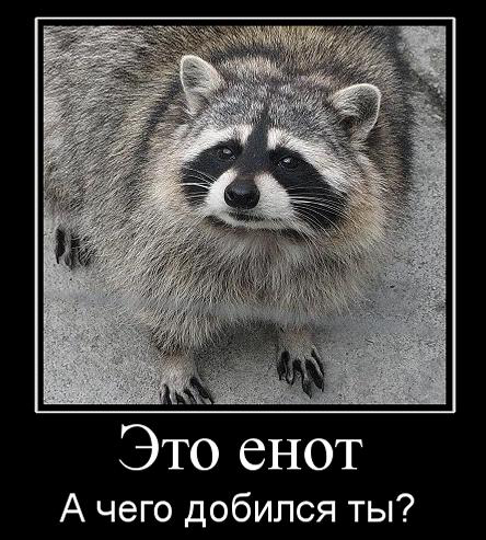 PicsArt_1410870744711