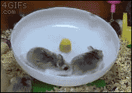 b7bd9bba2b59dba38ca916ee0801f9ba