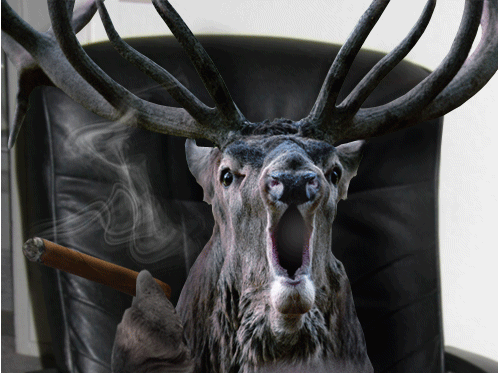 Олень курит