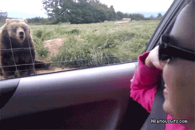 10 Люди приезжали, чтобы просто посмотреть на героя...