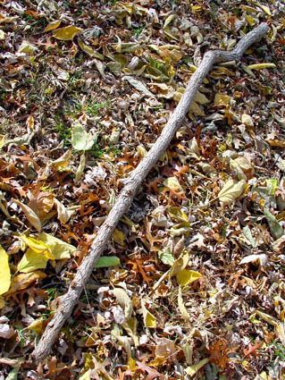 full_stick_1286725410