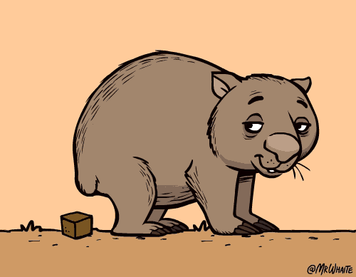 Wombat