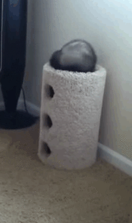 Трюк не удался