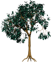 0_3ad5c_307ff0b2_XXXL