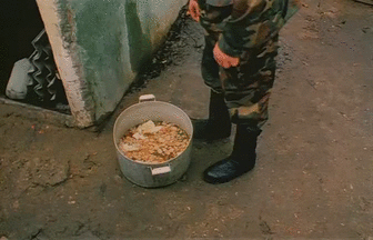 Бомба помои