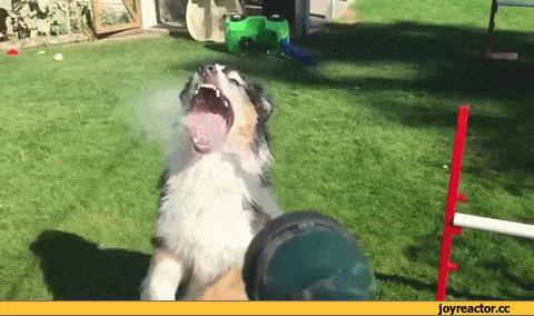 D0B3D0B8D184D0BAD0B8D0B2D0BED0B4D0B0D181D0BED0B1D0B0D0BAD0B5D0BDD0B6D0B8D0B2D0BDD0BED181D182D18C1573