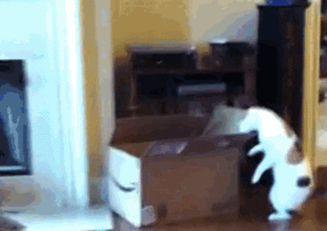 Надо меньше есть.