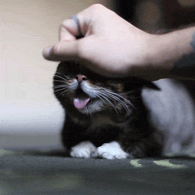 daily_gifdump_712_12