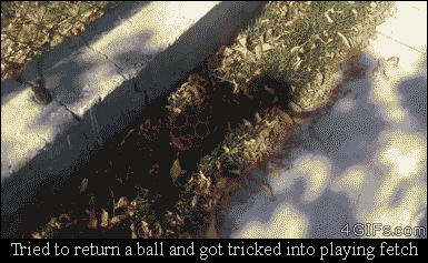 3f2f9b855411325943a5ea7be7232314