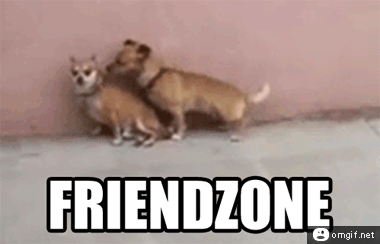 friendzone