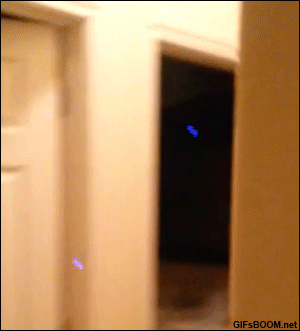 1412941963_190580826