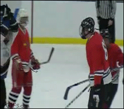 Fungif_10-1