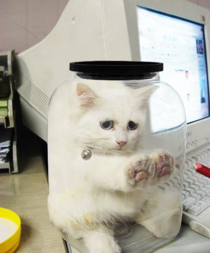 kote