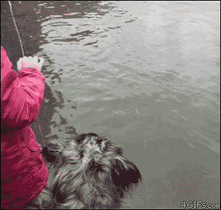 8b3800c42aa2d835b01ffa522e01dd8f