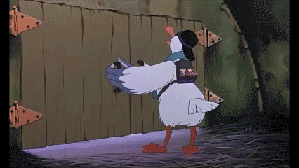 1414059291_402054892