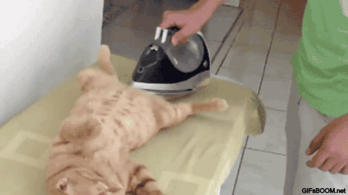 tumblr_ndvn7lgL6h1s02vreo2_500