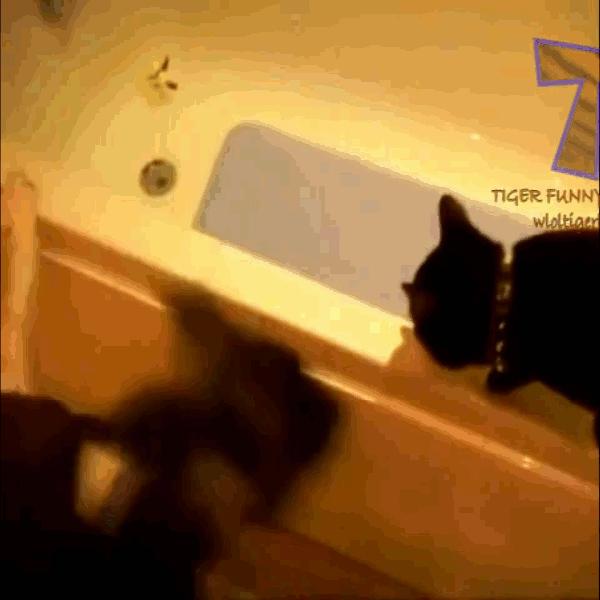 Собака-подляка.