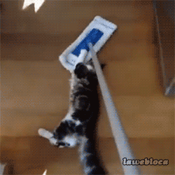 1414639817_gifs_18