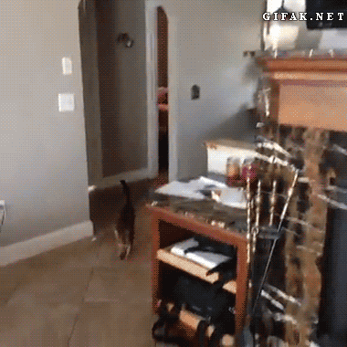 1382113276_310947971 (3)