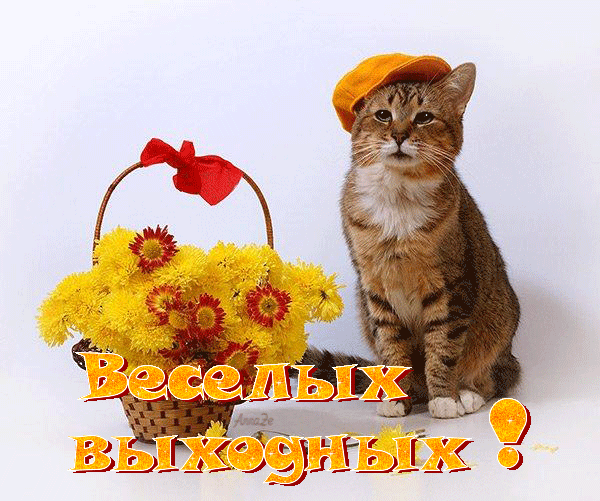 весёлых выходных