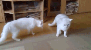 gifs_07
