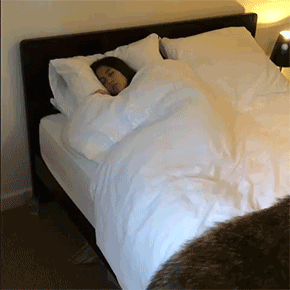 Замкнутый круг