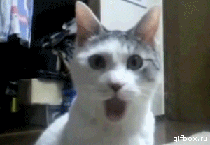 1386408487-8a8e7d4b5f962e5afebac079c8241e6e