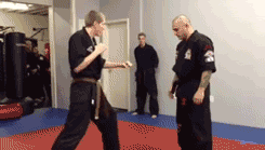 tumblr_mezmjilNmN1r3gb3zo1_250