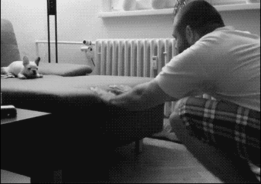 20141107173914uid2518 - копия