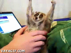 d6a451f9899980f0ee14eda