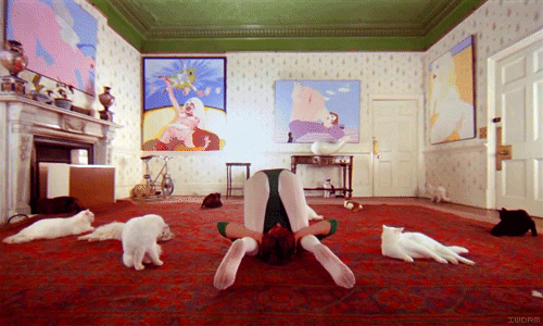 hotgifs212